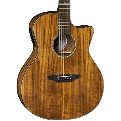 Luna High Tide Grand Concert Cutaway Acoustic/Electric Guitar - KOA, Fishman Presys+ Preamp