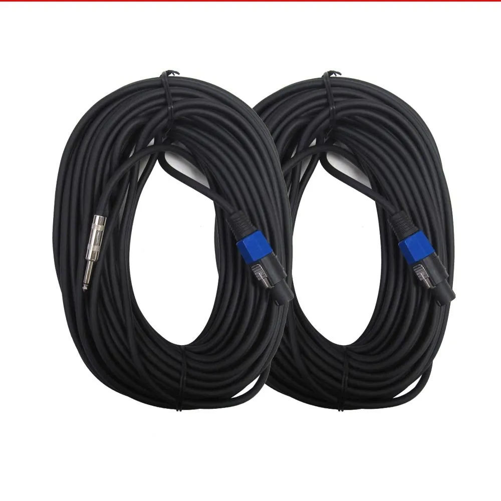 Seismic Audio SASPT14-100-2Pack 100ft Speakon to 1/4' Speaker Cable, 14 Gauge, Shielded, Durable